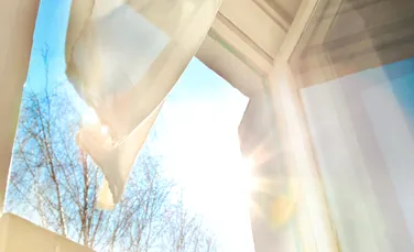 Ce este atlasul mirosurilor urbane? Cum pot fi „citite” orașele pe baza parfumurilor stradale