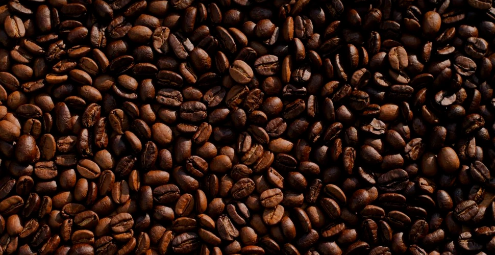 Consumul de cafea și ceai poate fi asociat cu rate reduse de accident vascular cerebral și demență