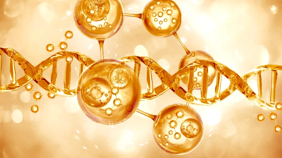 A fost găsit un hormon care ajută cancerul să scape de sistemul imunitar al corpului uman