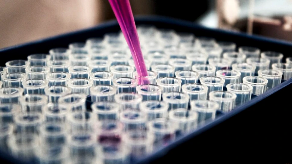 Vaccinul împotriva cancerului de sân a generat un răspuns imunitar puternic