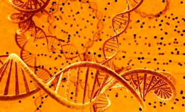 ADN-ul se poate plia sub forme complexe ca să efectueze funcții noi în organism