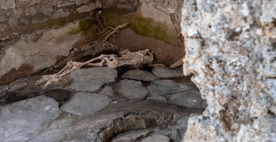 Au fost descoperite noi victime ale dezastrului de la Pompeii