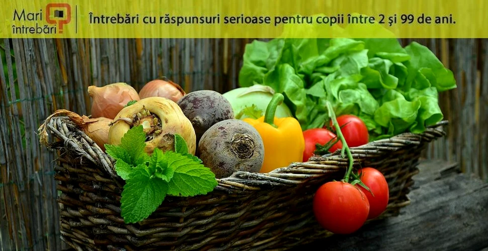 Care este diferența dintre fructe și legume?