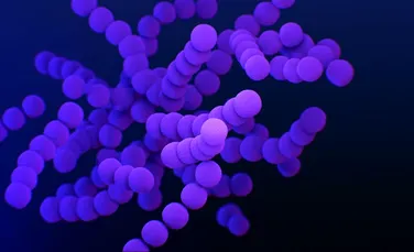 A fost dezvoltat primul „medicament viu” care tratează bacteriile rezistente la antibiotice