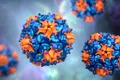 O tulpină de poliovirus, care provoacă poliomielită, detectată sistemul de canalizare din Londra
