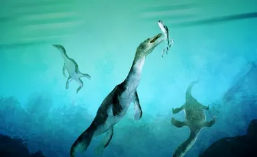 O fosilă de reptilă marină polară este cea mai veche găsită vreodată în emisfera sudică