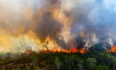 Expunerea la poluarea din incendiile forestiere, asociată cu zeci de mii de decese pe an