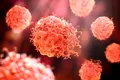 Cercetătorii au creat mici arme anticancerigene care fac ca tumorile să se autodistrugă