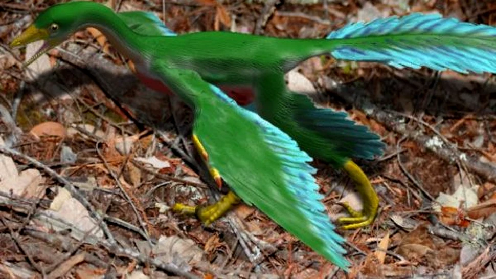 Ce culoare aveau dinozaurii?