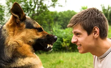 Cum afli dacă este fericit câinele tău? Iată cum se „traduc” expresiile faciale ale câinilor (VIDEO)