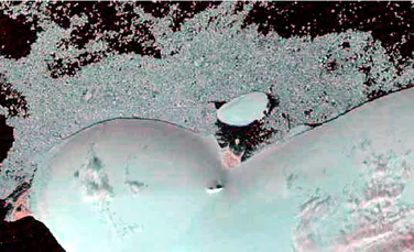 Surpriza de care au avut parte mai mulți elevi ruși care studiau imagini din satelit cu o insulă din Arctica