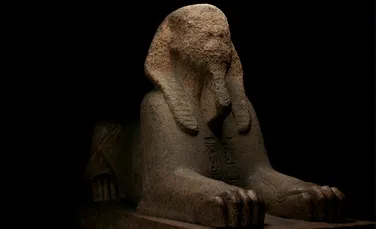 Un sfinx din perioada lui Ramses al II-lea vede din nou lumina soarelui după 100 de ani