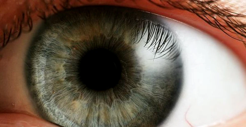 Ochii ar putea fi cheia remediului pentru malarie