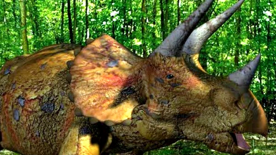 La ce foloseau coarnele lui Triceratops?