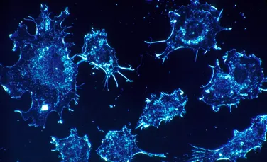 Cercetătorii au aflat cum reușesc celulele canceroase să părăsească tumorile. Descoperirile lor sunt de mare importanță