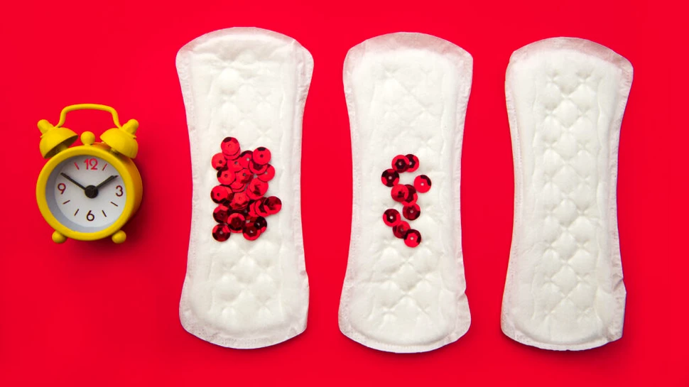 Mitul sincronizării menstruale: de ce încă persistă o idee infirmată de știință