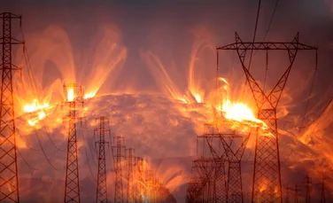 O furtună solară ucigașă de acum 800 de ani, descoperită în arbori antici