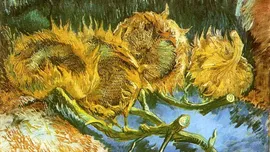 Van Gogh și ce reprezintă, de fapt, tablourile lui cu floarea-soarelui