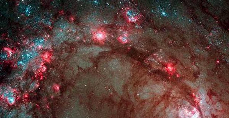 Galaxiile tinere “nasc” anual 50 de stele