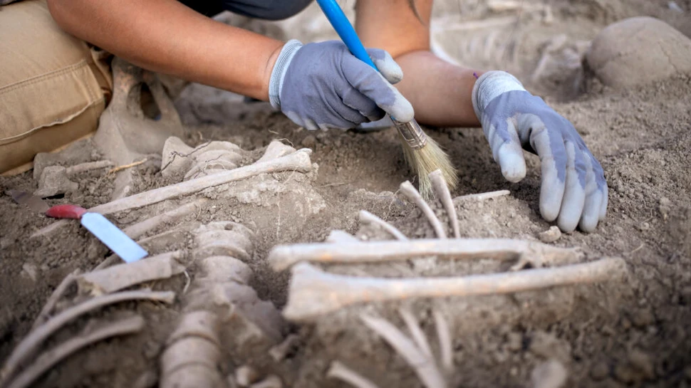 Arheologii au descoperit un copil îngropat cu 142 de câini, într-o necropolă egipteană antică