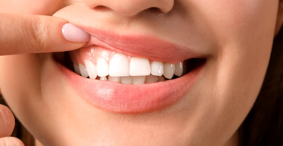 Un medicament pentru regenerarea dinților ar putea fi disponibil în următorul deceniu