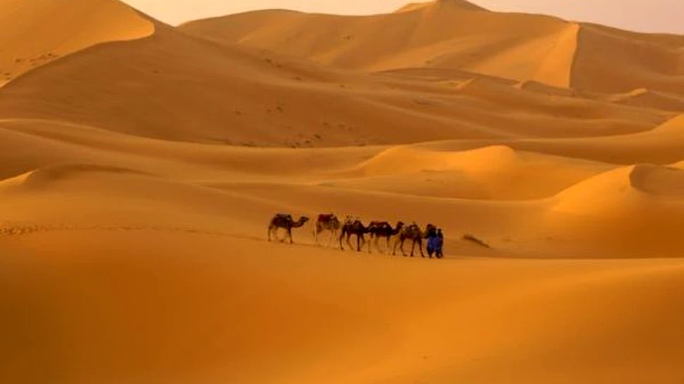 Noi dovezi ale lacurilor uriase care acopereau Sahara preistorica ies la iveala