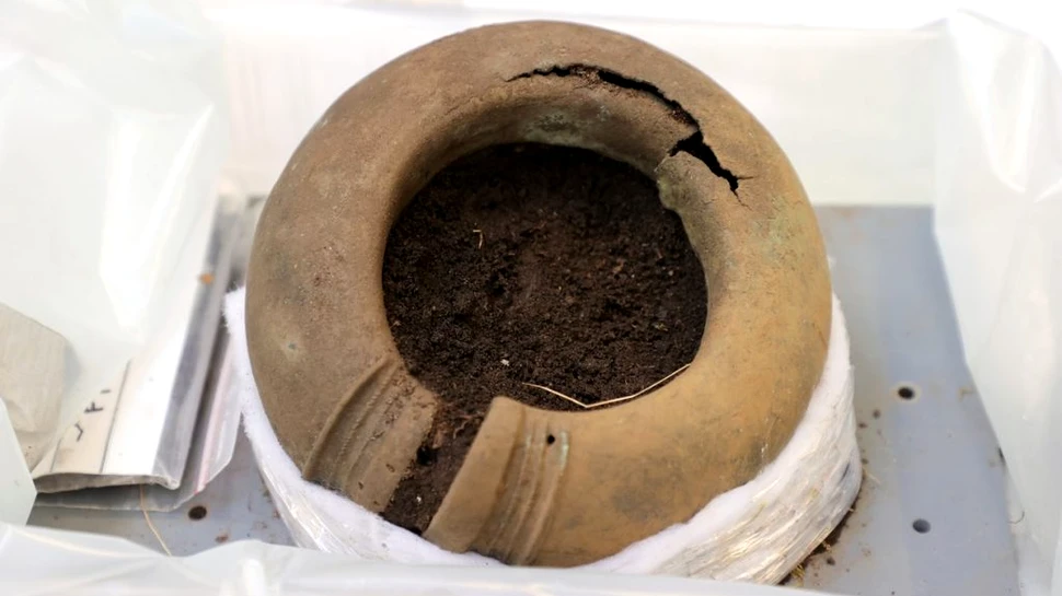 Un tezaur din Epoca Bronzului, vechi de peste 2.500 de ani, descoperit accidental într-o pădure din Suedia