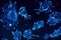 Cercetătorii de la Harvard au identificat o modalitate de eliminare a celulelor canceroase rezistente