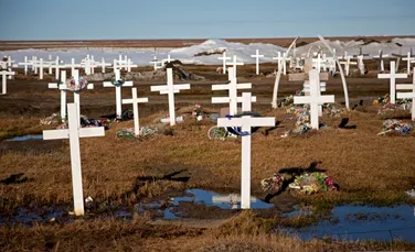 Cercetătorii au „trezit” viața antică, înghețată timp de 40.000 de ani, din Alaska