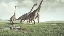Dinozaurii au fost afectați de o boală devastatoare, indică noi fosile