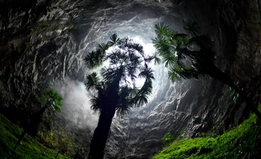 O dolină uriașă descoperită în China are propria pădure