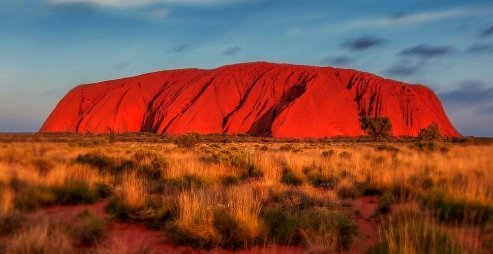 Specii de plante necunoscute au fost găsite pe stânca sacră Uluru din Australia