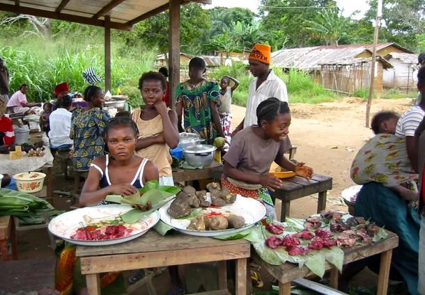 Piaţă de “bushmeat” (carnea provenita de la animalele sălbatice din jungla africana)