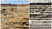 O formă de viață necunoscută a creat structuri în deșertul Namib cu peste un milion de ani în urmă