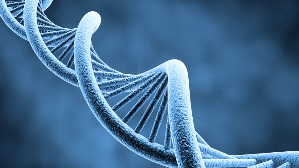 Elicea vieţii – cea mai mare descoperire ştiinţifică a secolului XX