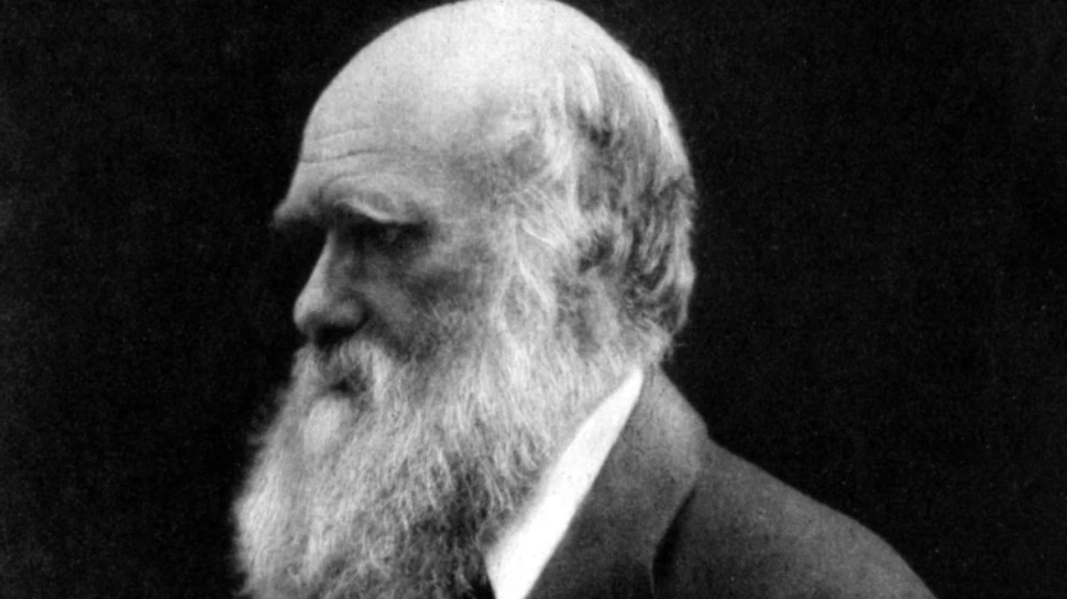 Darwin a avut dreptate: viaţa a apărut într-o baltă caldă