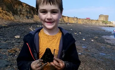Un băiat de șase ani a descoperit un dinte de megalodon pe o plajă din Marea Britanie