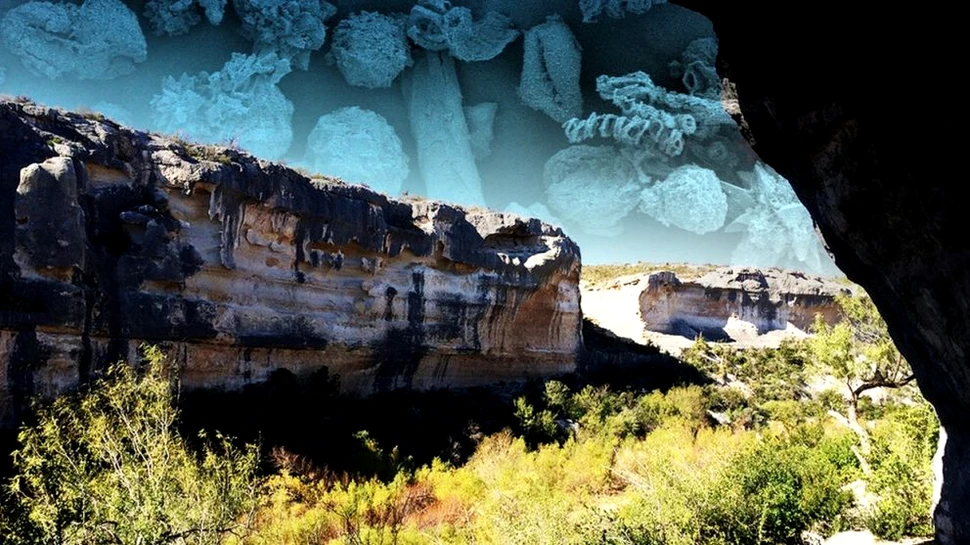 Misterul unui bărbat care a murit din cauza constipației, în urmă cu 1.000 de ani, a fost elucidat