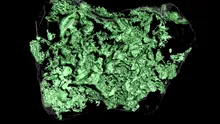 NASA dezvăluie un fenomen bizar ascuns în interiorul bolovanilor de pe asteroidul Bennu
