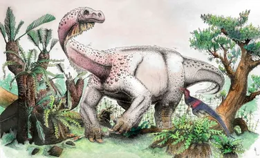 O nouă specie de dinozaur ierbivor gigant, detectată în Africa de Sud. Cântărea aproximativ 12 tone