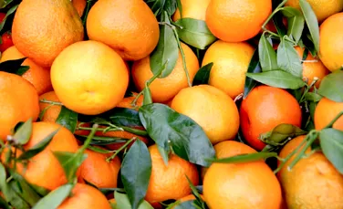 Test de cultură generală. Care este diferența dintre mandarine și clementine?