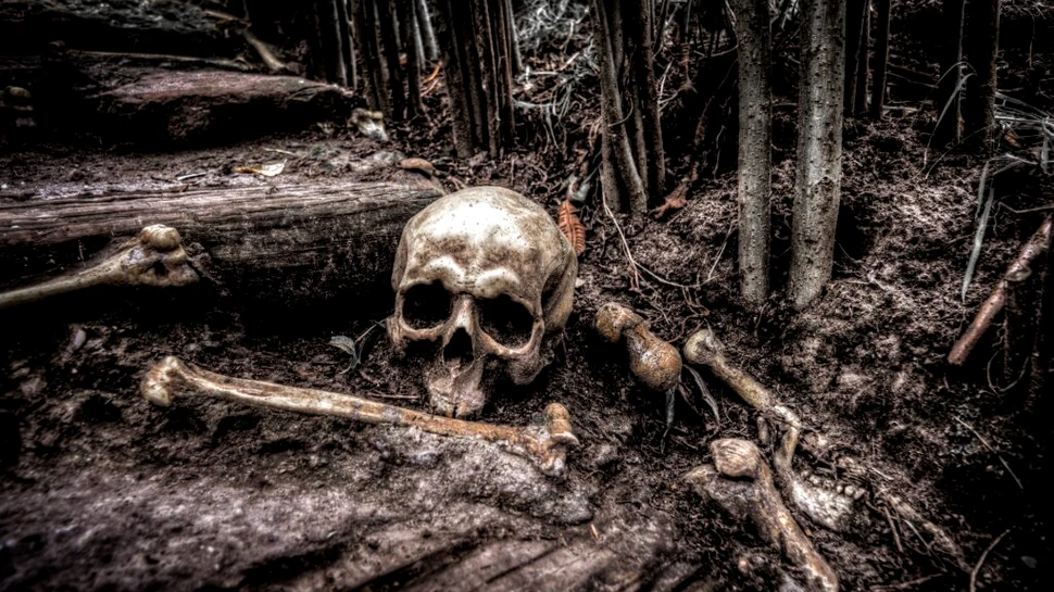 Schelet uman din Evul Mediu, găsit la o școală din Mediaș