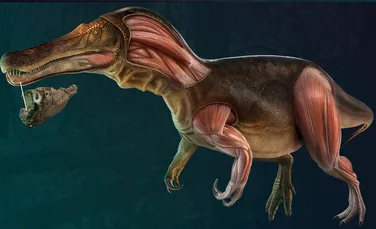 Cercetătorii au descoperit o specie unică de dinozaur. Cum arăta prădătorul?