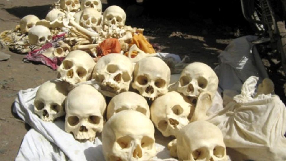 Aproape 100 de cranii umane decoperite intr-un iaz din India
