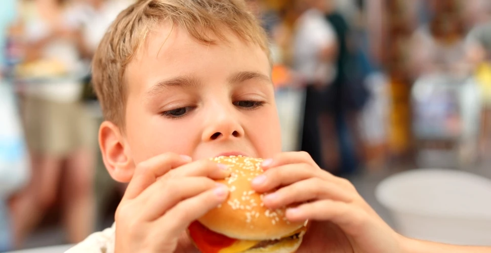 Dacă nu restaurantele fast-food, atunci ce îi îngraşă pe copii?