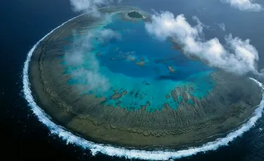 Marea Barieră de Corali a început să albească. ”Este îngrijorător”