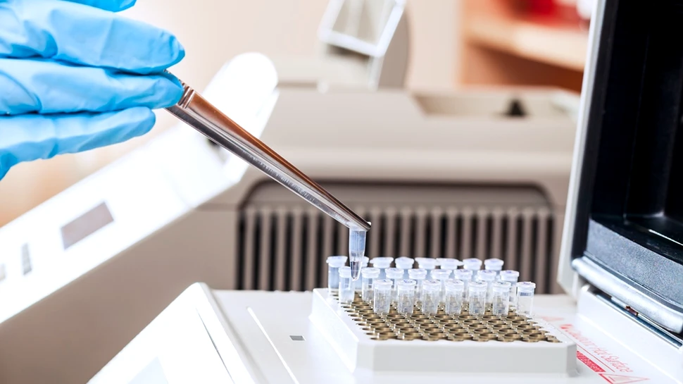 Spermatozoizi umani viabili, creaţi in vitro de o echipă de cercetători francezi