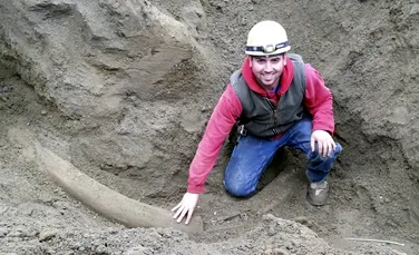 Fildeşul unui mamut din era glaciară a fost descoperit în Seattle (VIDEO)