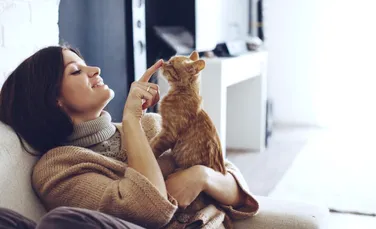Pisicile cleptomane – De ce felinele fură obiecte casnice?