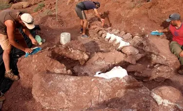Paleontologii au descoperit fosilele celui mai vechi titanosaur. Făcea parte din grupul celor mai mari dinozauri care au pășit pe Terra